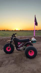 Game Changer LED Whip Set - Malibu Barbie Pink