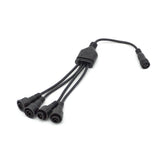 Rock Light / Whip: Splitter