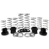 MTS Offroad Polaris RZR Spring Kit