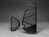 POLARIS XPEDITION CARBON FIBER SIDE AIR VENT TRIM SET