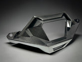 2021 + POLARIS RZR PRO R ( ONLY ) - CARBON FIBER EXHAUST SURROUND