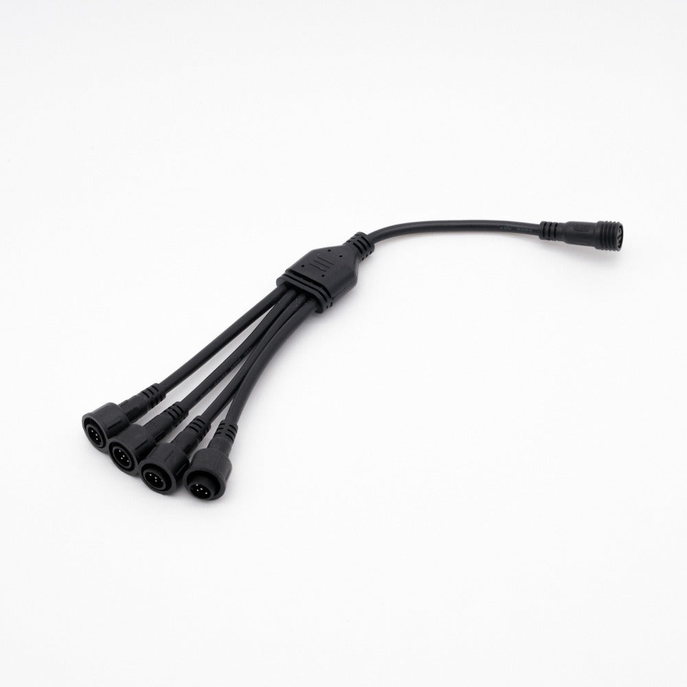 Rock Light / Whip: Splitter