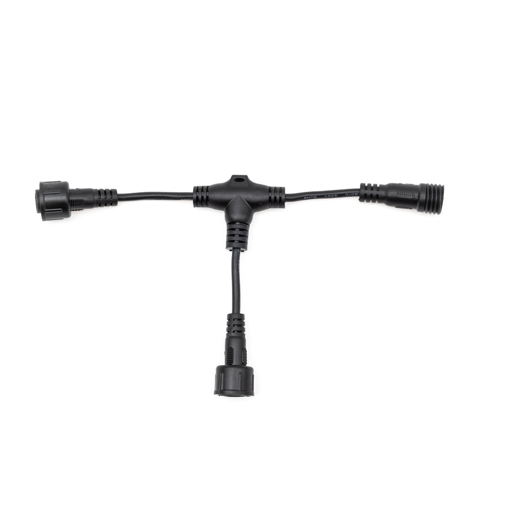 Rock Light / Whip: Splitter