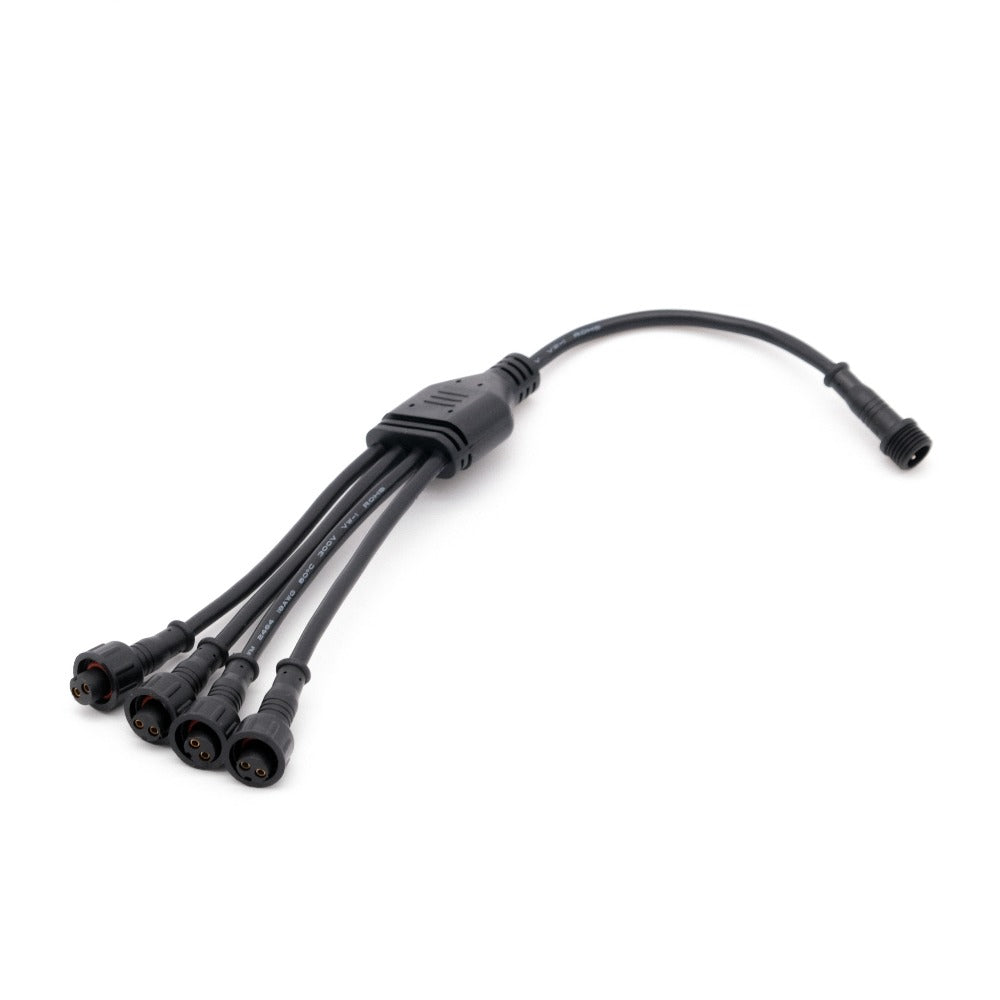 Rock Light / Whip: Splitter