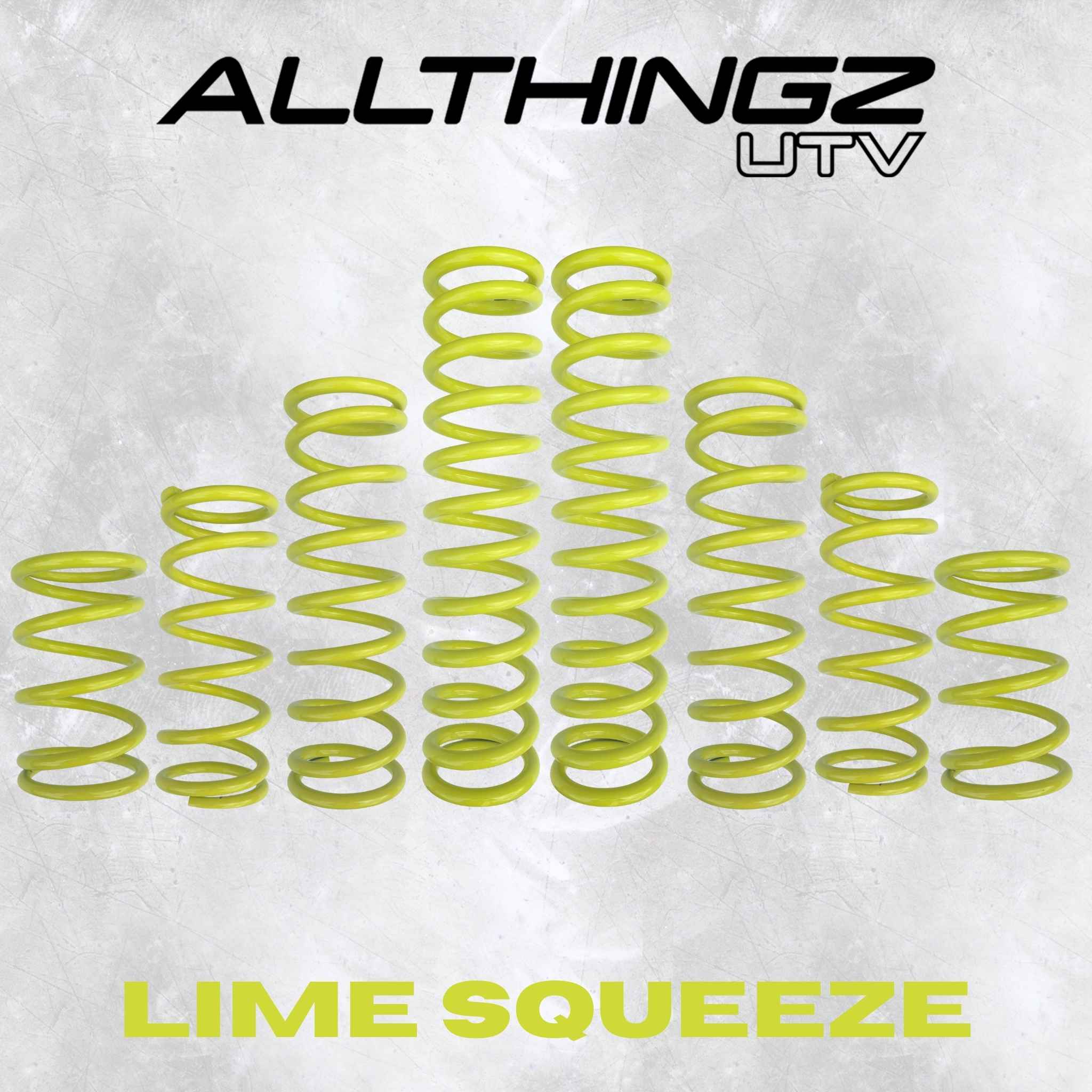Polaris RZR Pro XP 4 Seater Dual Rate Spring Kit
