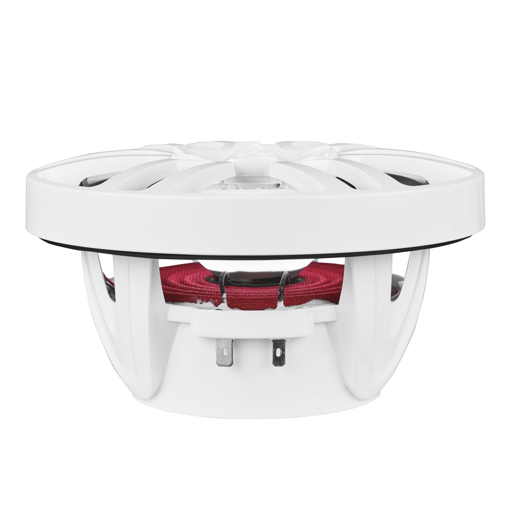 NXL 6.5" 2-Way Coaxial Marine Speaker with LED RGB Lights | 100W RMS 4-Ohm