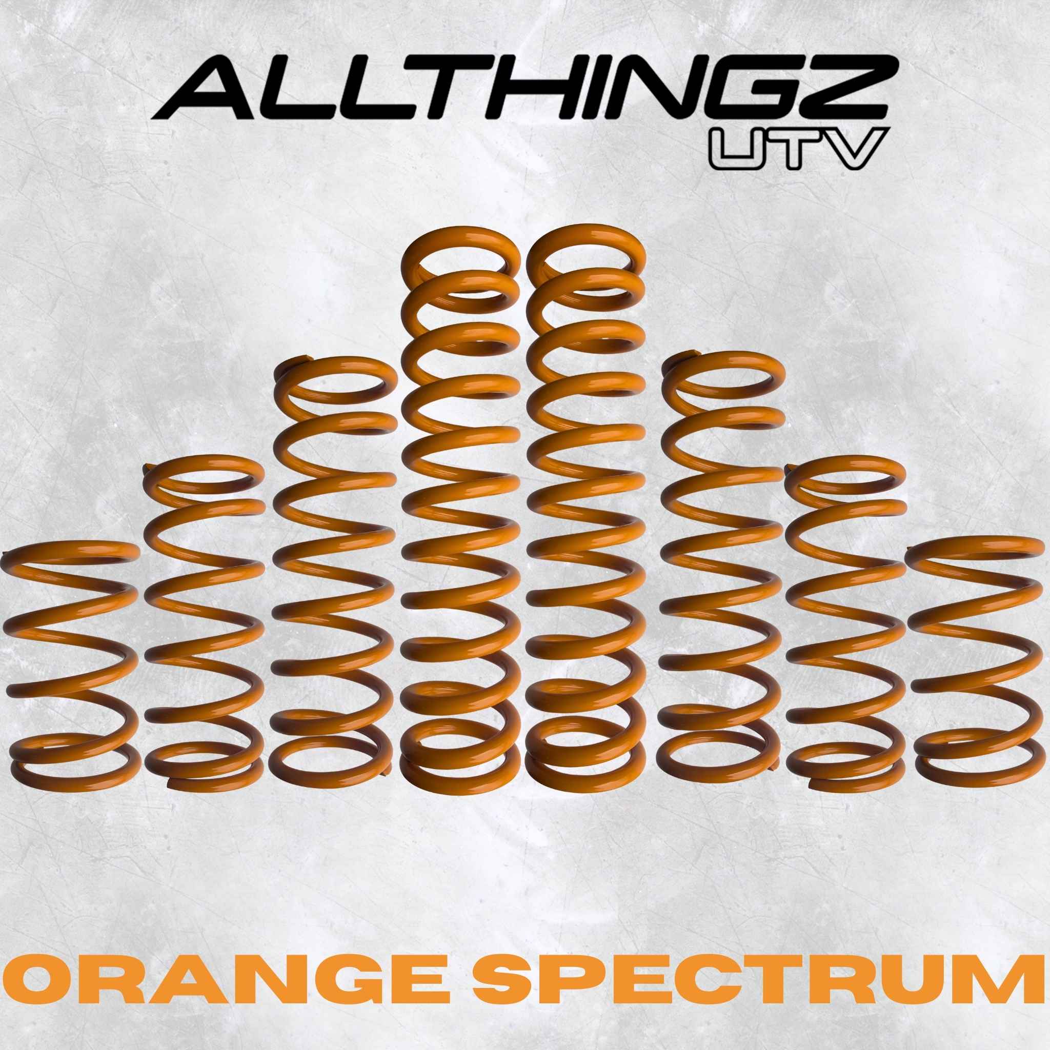 Polaris RZR Pro XP 2 Seater Dual Rate Spring Kit