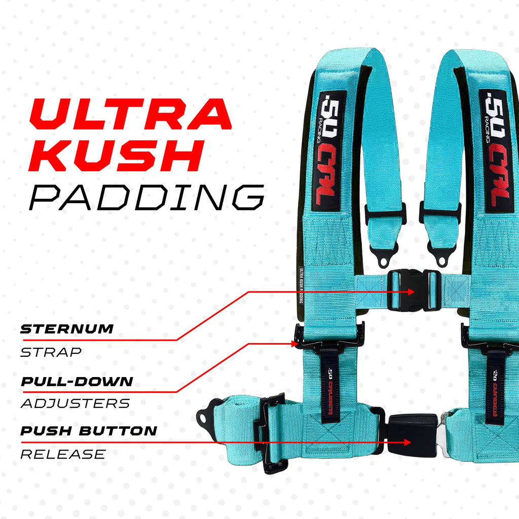 Pro Series 2" & 3" 4 point Harness with push button release