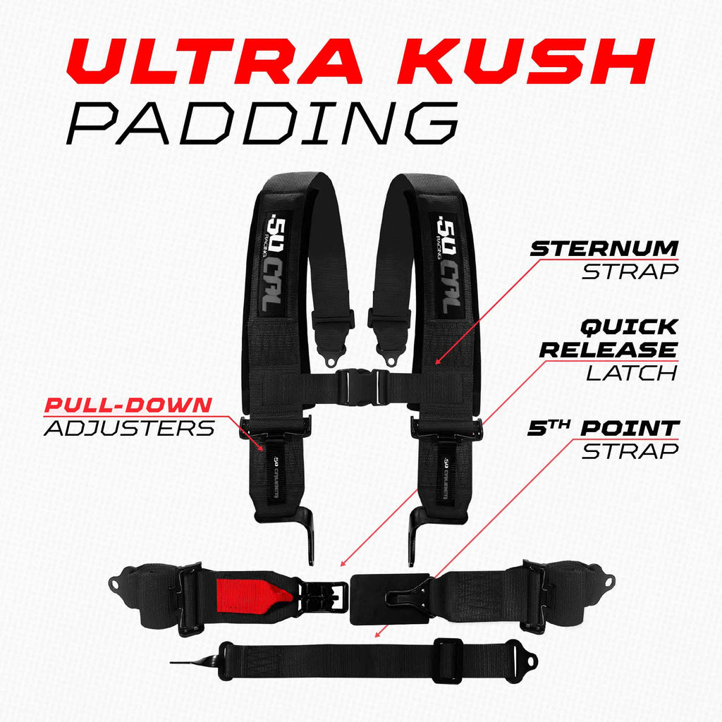 SFI Approved 2" and  3" 5 point Harness, Racing Harness
