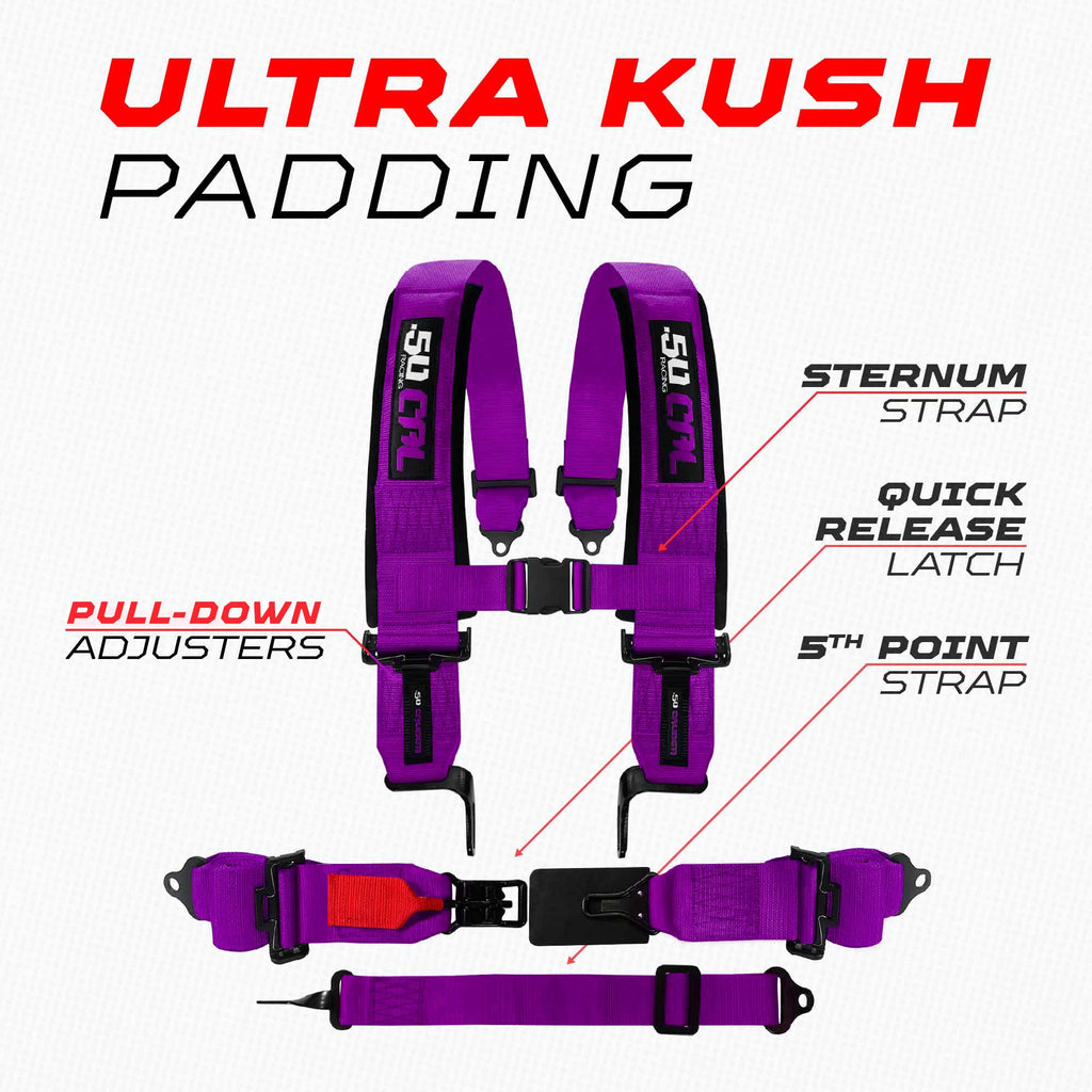 SFI Approved 2" and  3" 5 point Harness, Racing Harness