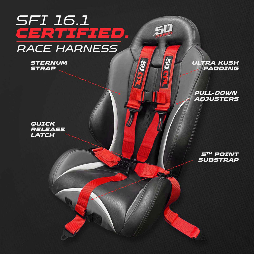 SFI Approved 2" and  3" 5 point Harness, Racing Harness